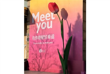 Nadrozmerné papierové kvety